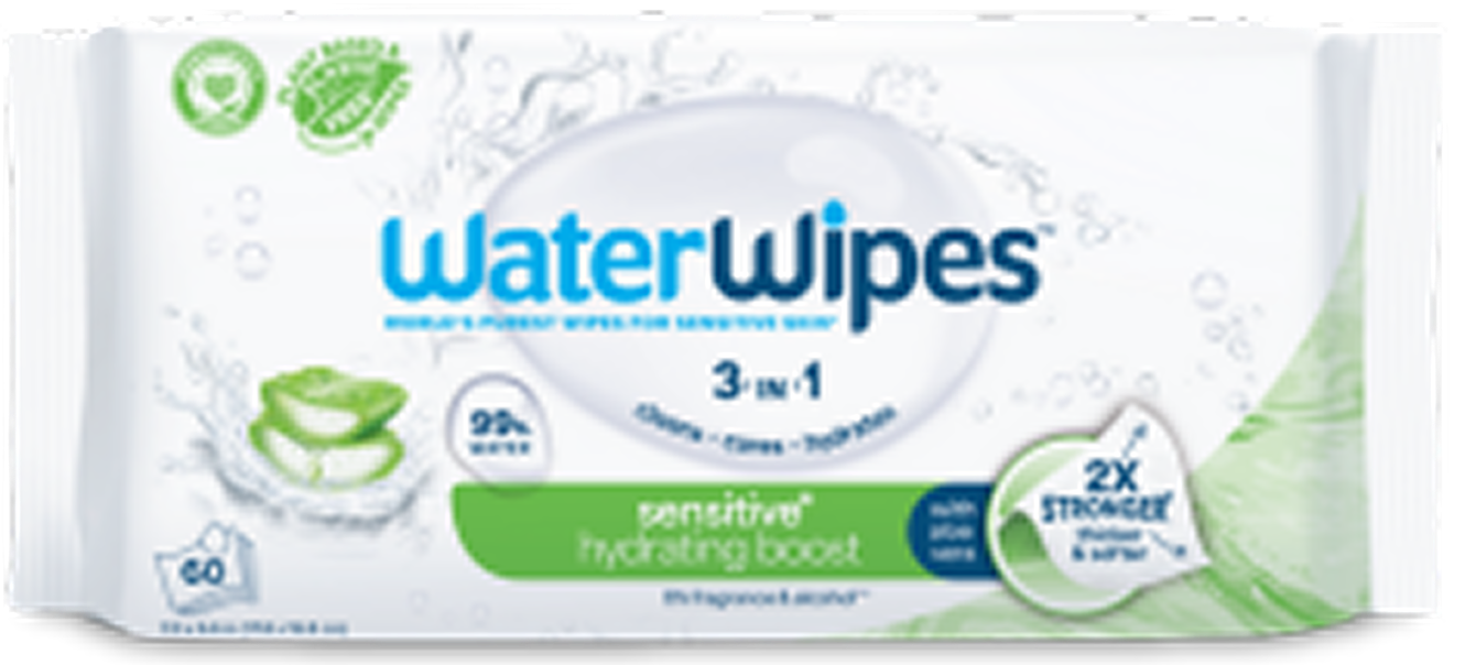 1 Pack (60 Wipes)